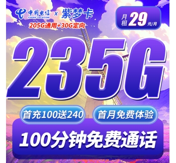 卡世界电信紫梦卡29元235G+100分钟